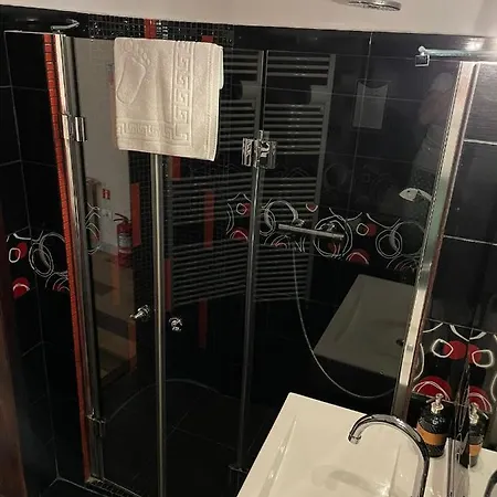 Lejlighed Select Center Braşov